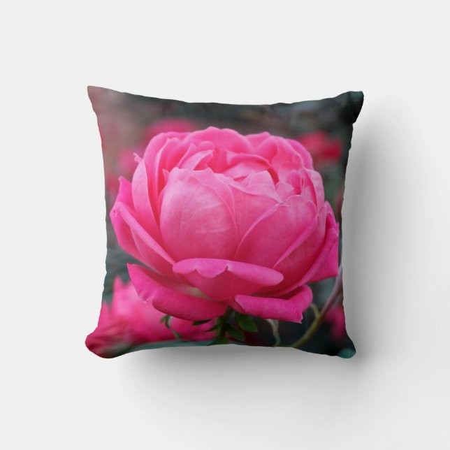 Vacker rosa rosblommig kudde (Framsida)