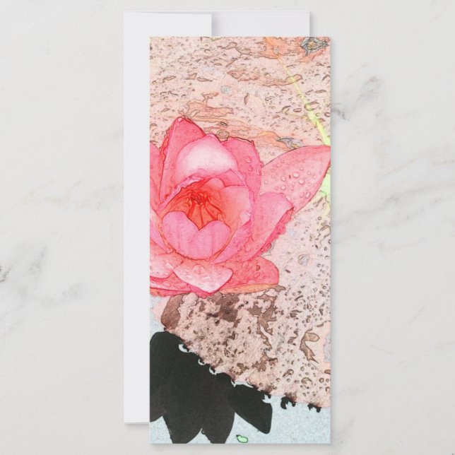 vacker rosa vattenlilja blomma foto konst (Framsida)
