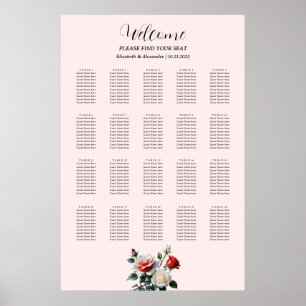 Vacker rosa vit röd ros sittplan poster