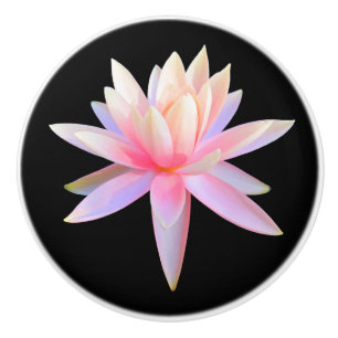 Vacker Rosa White Lotus Flower Mönster Knopp