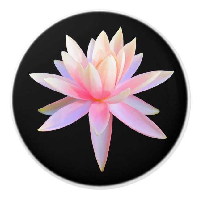 Vacker Rosa White Lotus Flower Mönster Knopp (Framsidan)
