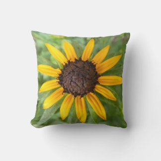 Vacker Rudbeckia Blomma Trend Kuddöverdrag Kudde
