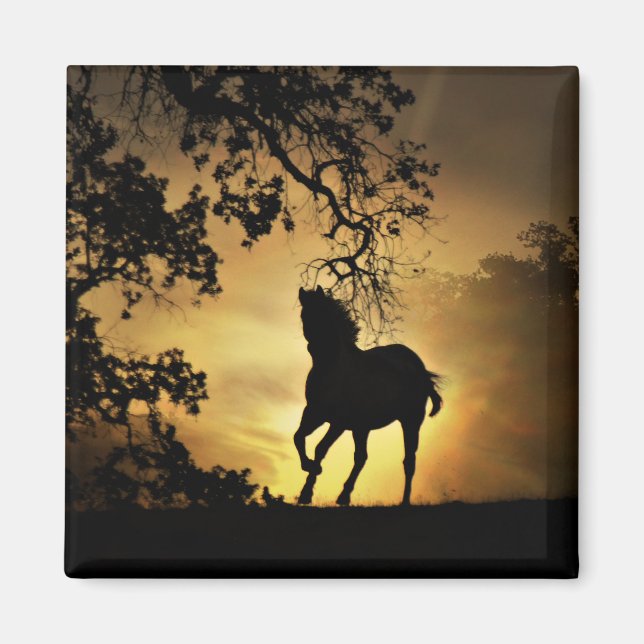 Vacker Running Horse i Sunset Magnet (Framsidan)