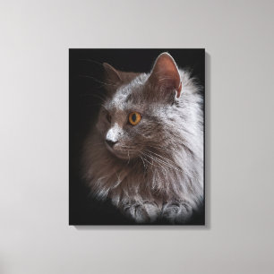 Vacker rysk blå Grått Cat Nebelung Canvastryck