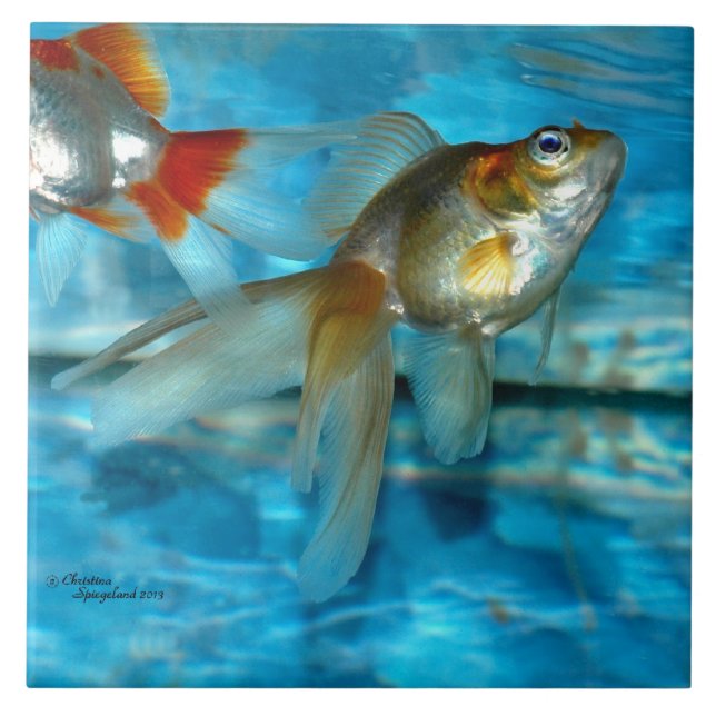 Vacker ryukin goldfish Tile Kakelplatta (Framsidan)