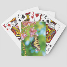 Vacker Sallowtail-fjäril på söt blommor