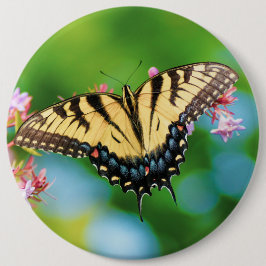 Vacker Sallowtail-fjäril på söt blommor Knapp