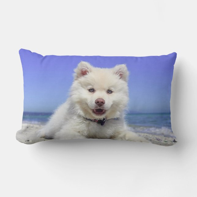Vacker Samoyed Hund Lumbarkudde (Framsida)