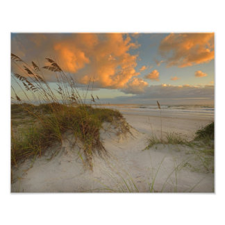 Vacker Sand Dunes i Daytona Beach, FL Fototryck