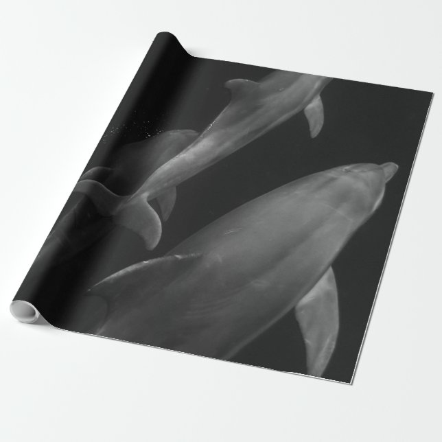 Vacker Sea Life Presentpapper (Utrullad)