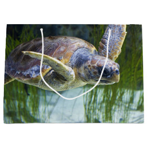 Vacker Sea Turtle Swimming