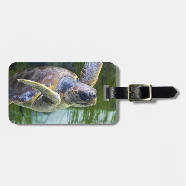 Vacker Sea Turtle Swimming Bagagebricka (Horisontell Framsida)
