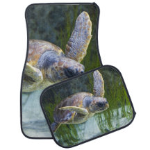 Vacker Sea Turtle Swimming