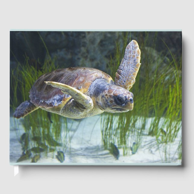Vacker Sea Turtle Swimming Gästböcker (Framsida)