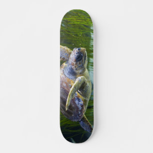 Vacker Sea Turtle Swimming Mini Skateboard Bräda 18,5 Cm