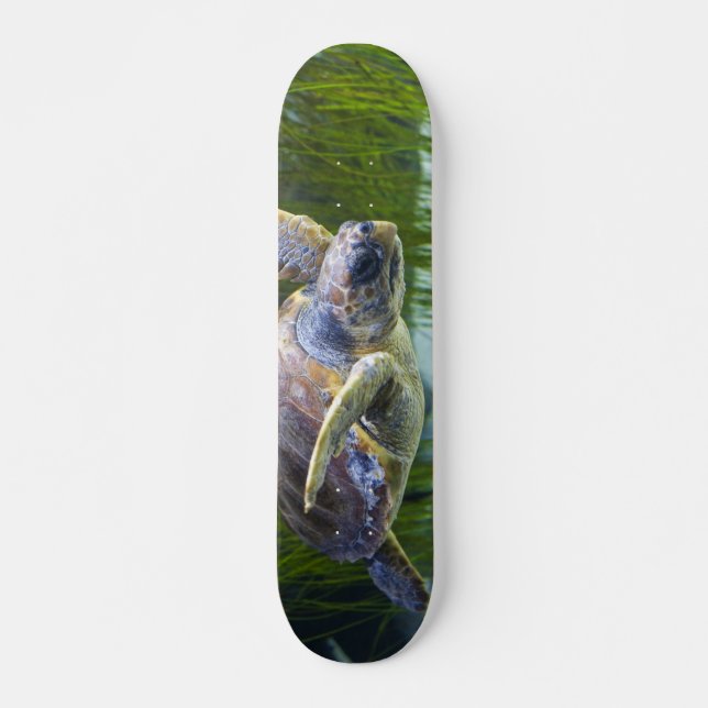 Vacker Sea Turtle Swimming Mini Skateboard Bräda 18,5 Cm (Framsida)