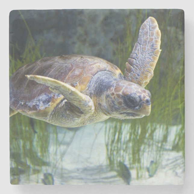 Vacker Sea Turtle Swimming Stenunderlägg (Framsidan)