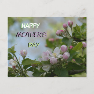 Vacker Serene Blommars Mors dag vykort