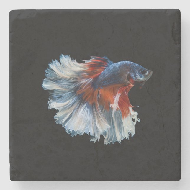 Vacker siamese Betta Fish Stenunderlägg (Framsidan)