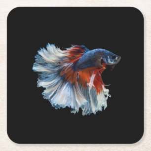 Vacker siamese Betta Fish Underlägg Papper Kvadrat