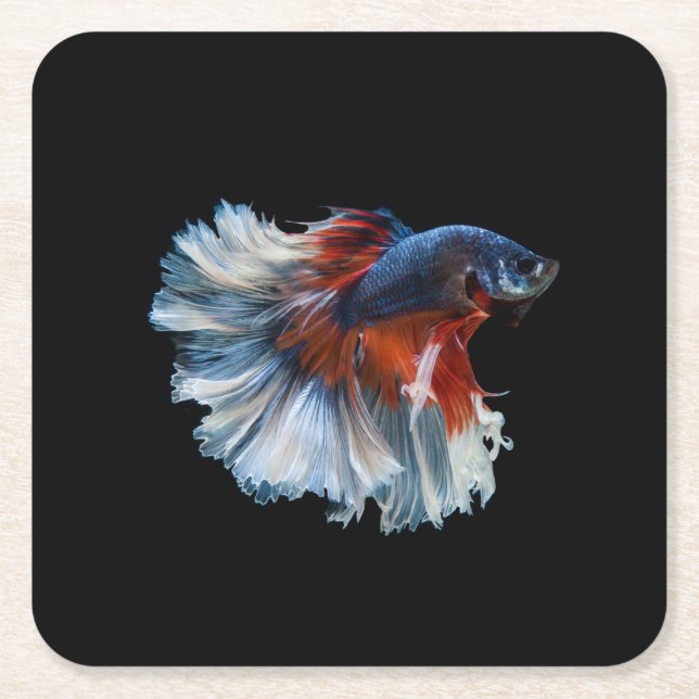 Vacker siamese Betta Fish Underlägg Papper Kvadrat (Framsidan)