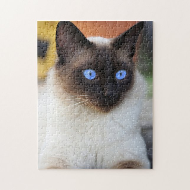 Vacker siamese Cat Kitten Pussel (Vertikal)
