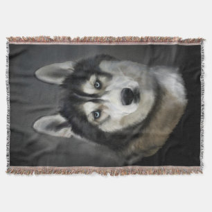 Vacker Siberian husky Throw Blanket Filt