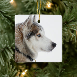 Vacker sibirisk husky i snön julgransprydnad keramik