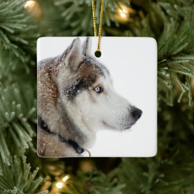 Vacker sibirisk husky i snön julgransprydnad keramik (Träd)
