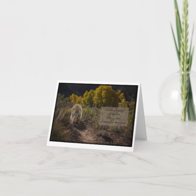 vacker själslig leonberger sympati kort (Framsida)