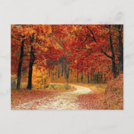 Vacker skog vykort