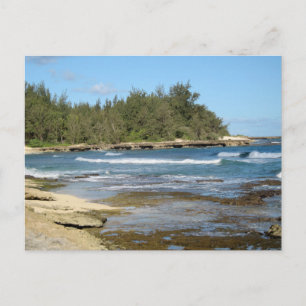 Vacker sköldpaddsbukten Ocean Beach Oahu Hawaii Vykort