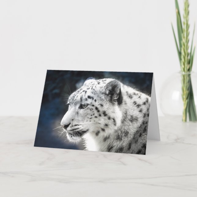 Vacker Snö Leopard-hälsningskort Kort (Framsida)