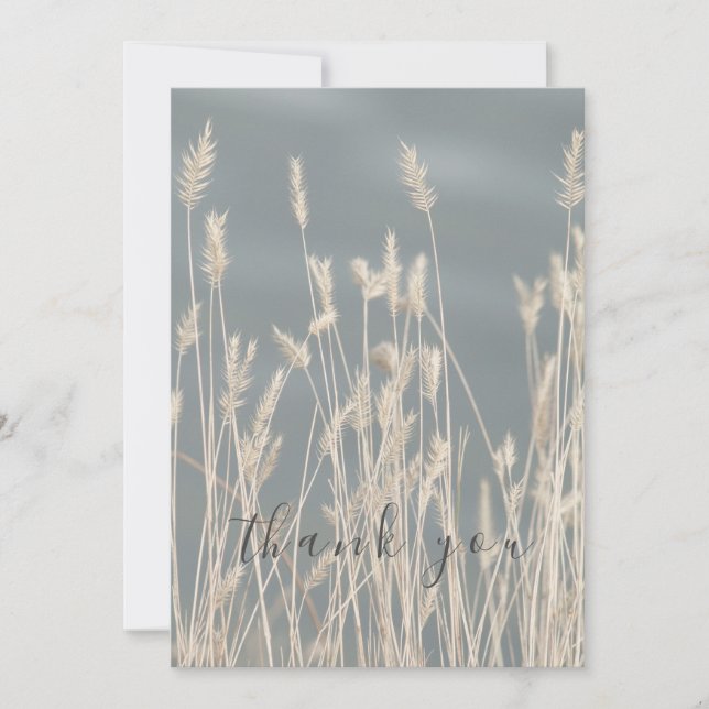 Vacker, solblekt Grass Blå himmel Tack (Framsida)