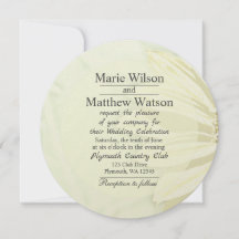 Vacker solros blomsterdesign