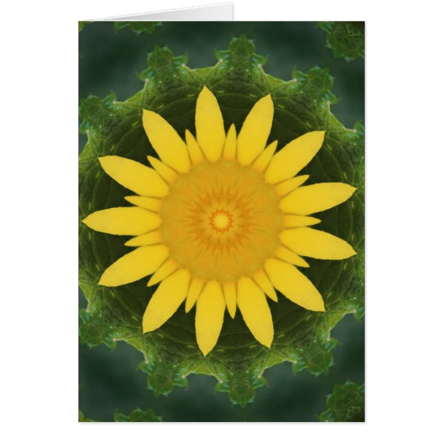 Vacker solros OBS kort (Framsidan)