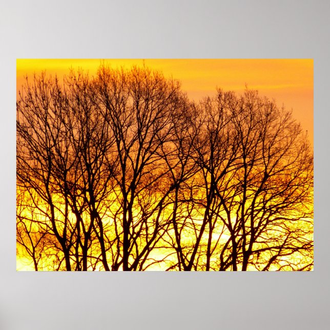 Vacker soluppgång natur landskap poster (Framsidan)