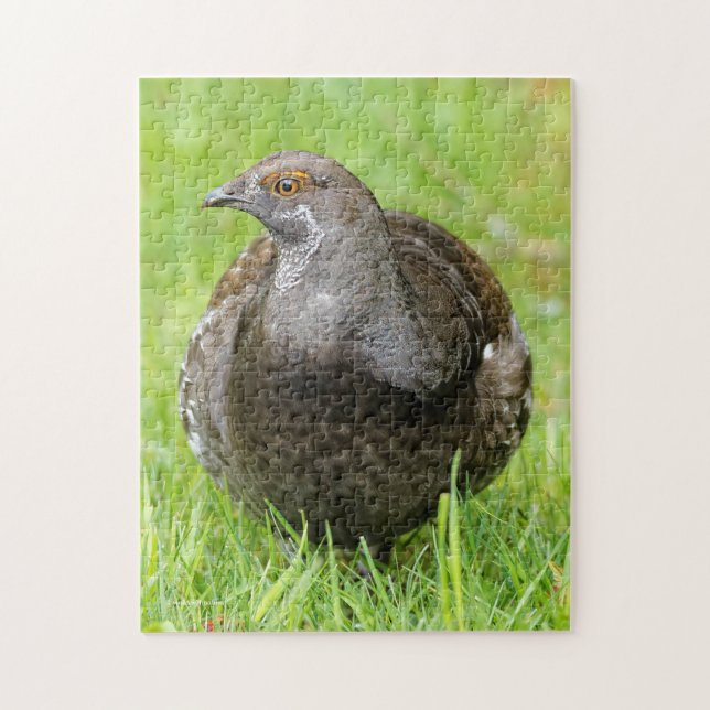 Vacker Sooty Grouse i Grass Pussel (Vertikal)