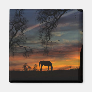 Vacker Southwest Horse Magnet