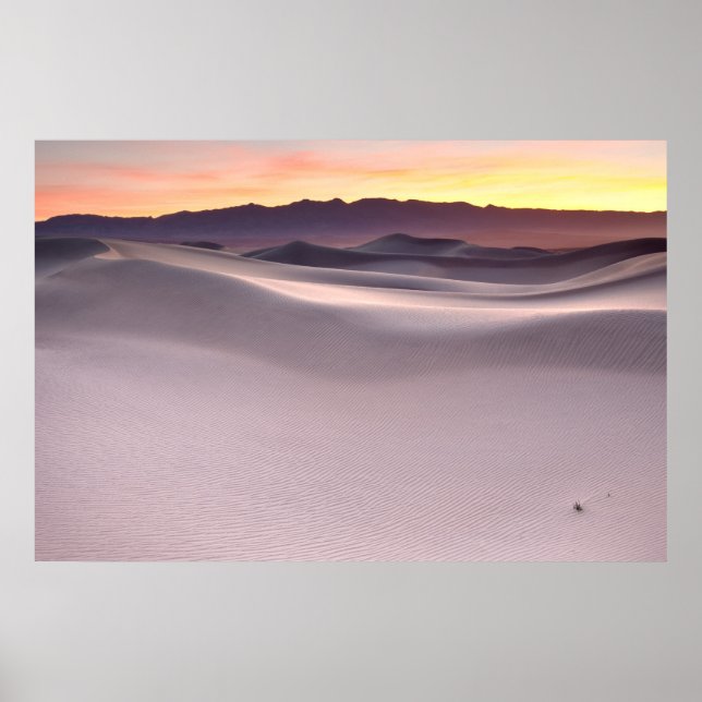 Vacker Sunrise över Desert Sand Dunes Poster (Framsidan)