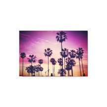 Vacker Sunset Handflatan Träd Beach Vibe