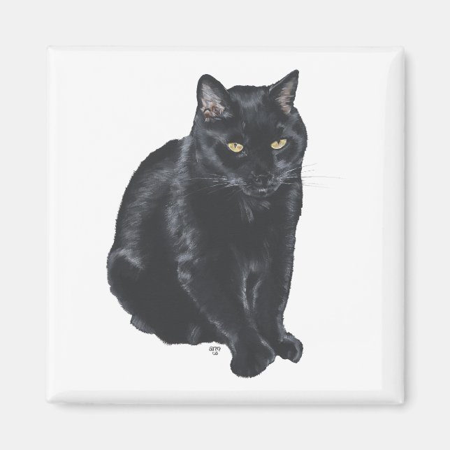 Vacker svart katt magnet (Framsidan)