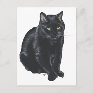 Vacker svart katt vykort