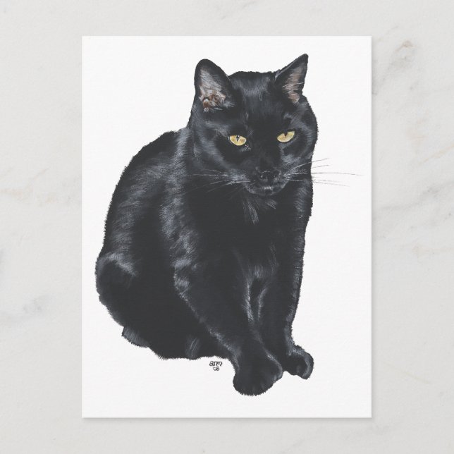 Vacker svart katt vykort (Framsida)