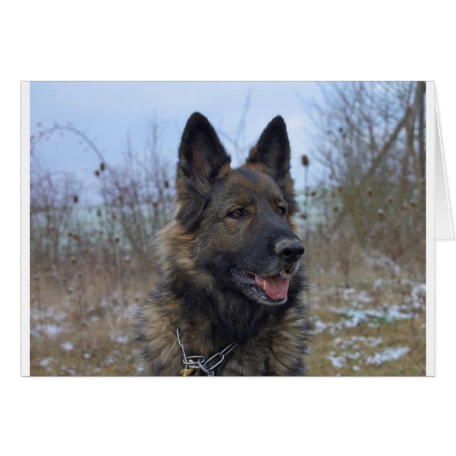 vacker svart och beigefjordisk marionett hälsningskort (Framsidan Horizontal)