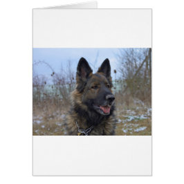 vacker svart och beigefjordisk marionett hälsningskort