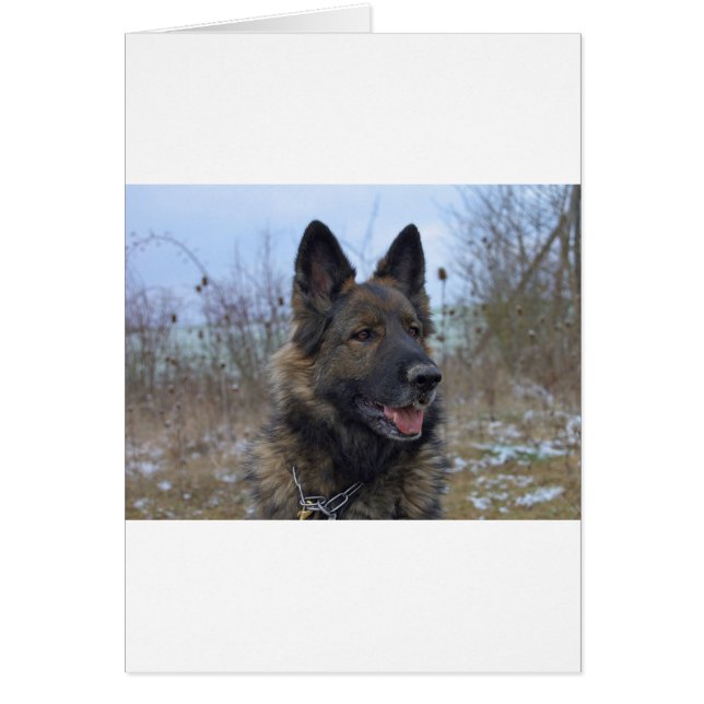 vacker svart och beigefjordisk marionett hälsningskort (Framsidan)