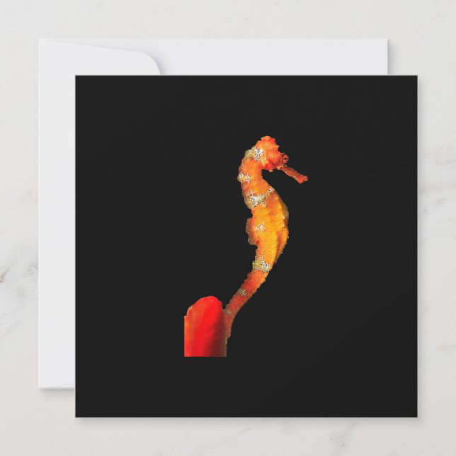 Vacker Swimming Seahorse Figur på framsidan Inbjudningar (Framsida)