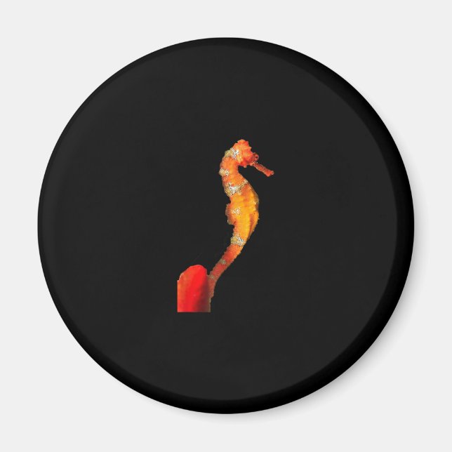 Vacker Swimming Seahorse Figur på framsidan Magnet (Framsidan)