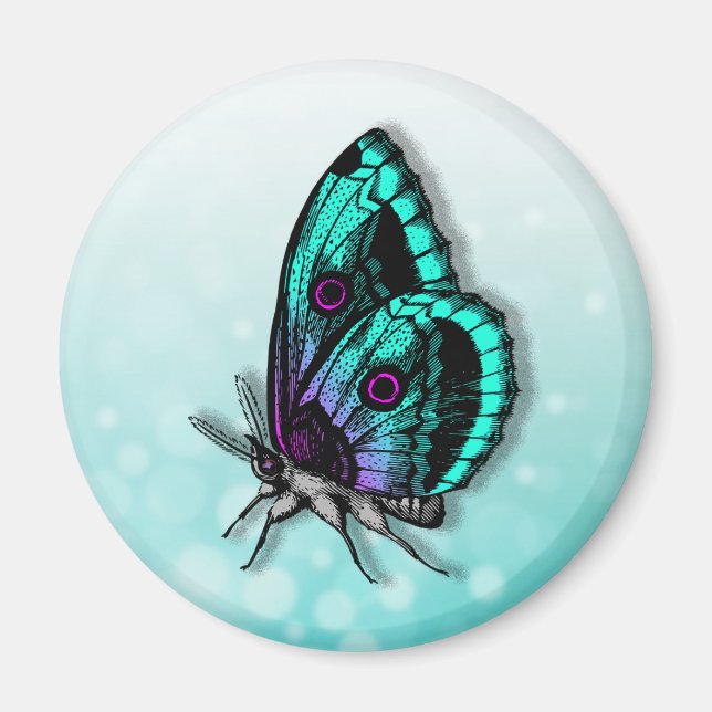 Vacker Teal Butterfly Magnet (Framsidan)